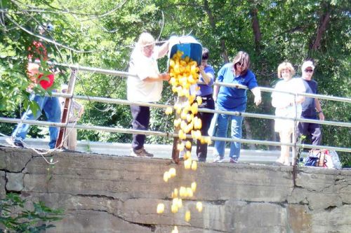 CARE members Judy McClure and Doug Scott dump 200 ducks from the Bridge Street bridge in Arden for their annual duck race fundraiser